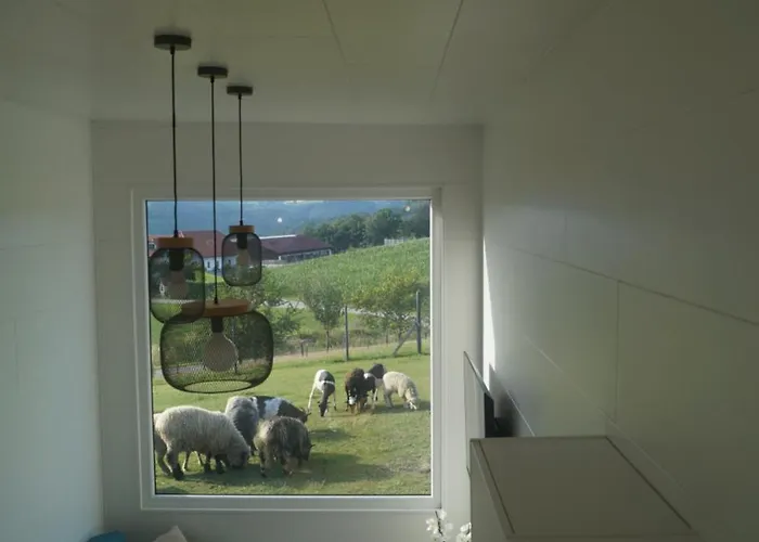 Holiday home Tiny House Auszeit *